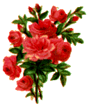 Bouquet of Roses